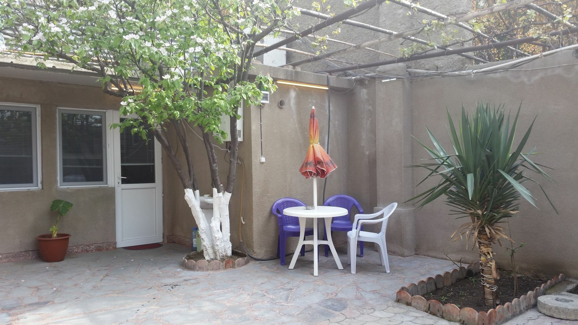 Guest House Spartak Tbilisi Bagian luar foto
